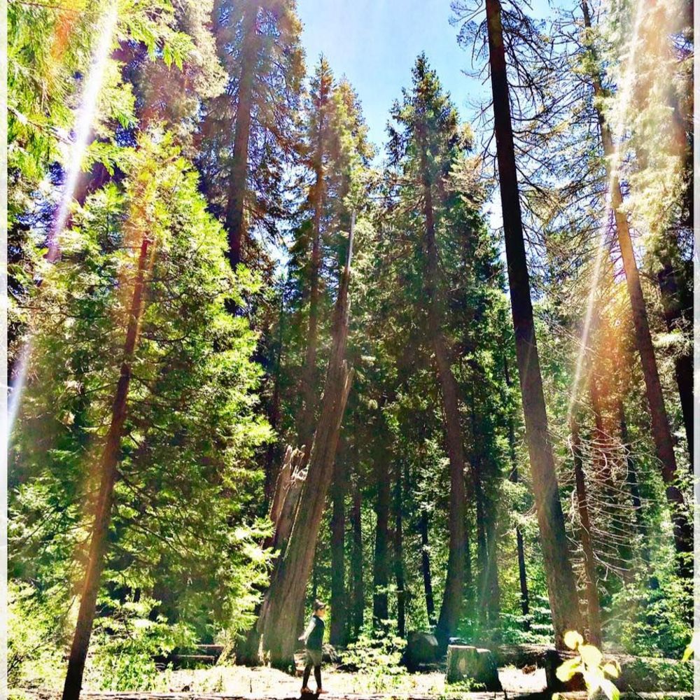 Meet your Posher, Alicia